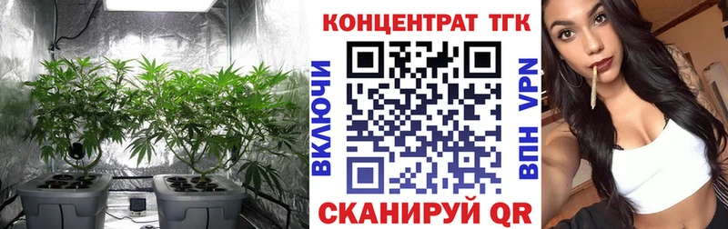 где купить Цивильск ТГК гашишное масло