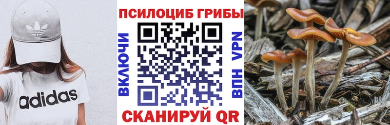 Псилоцибиновые грибы мухоморы  купить  сайты  Цивильск 